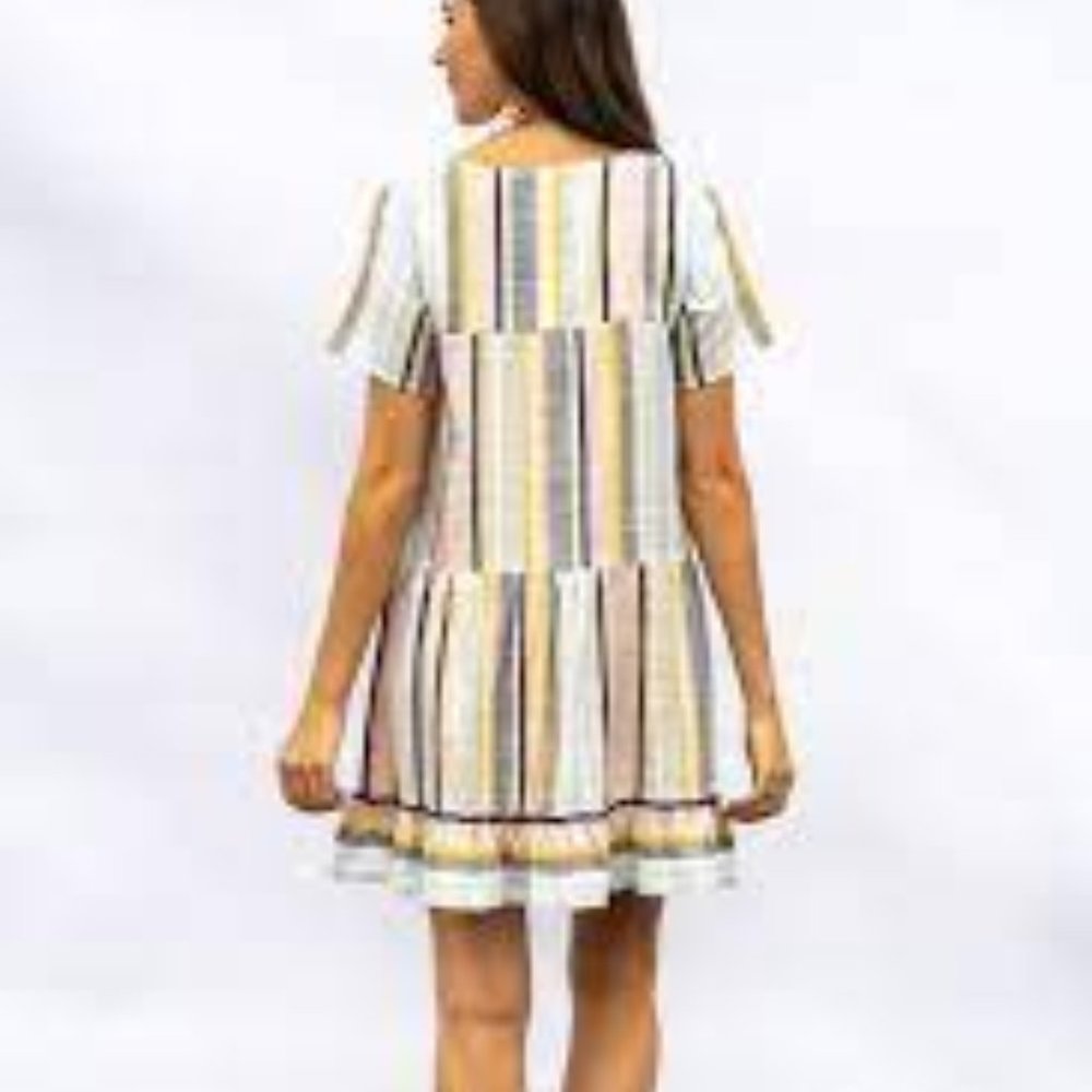 EVY'S TREE The Briar Women's Cotton Mini Dress